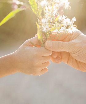 당신의 마지막도 당신답게, 어떤 씨앗을 남기시겠습니까?