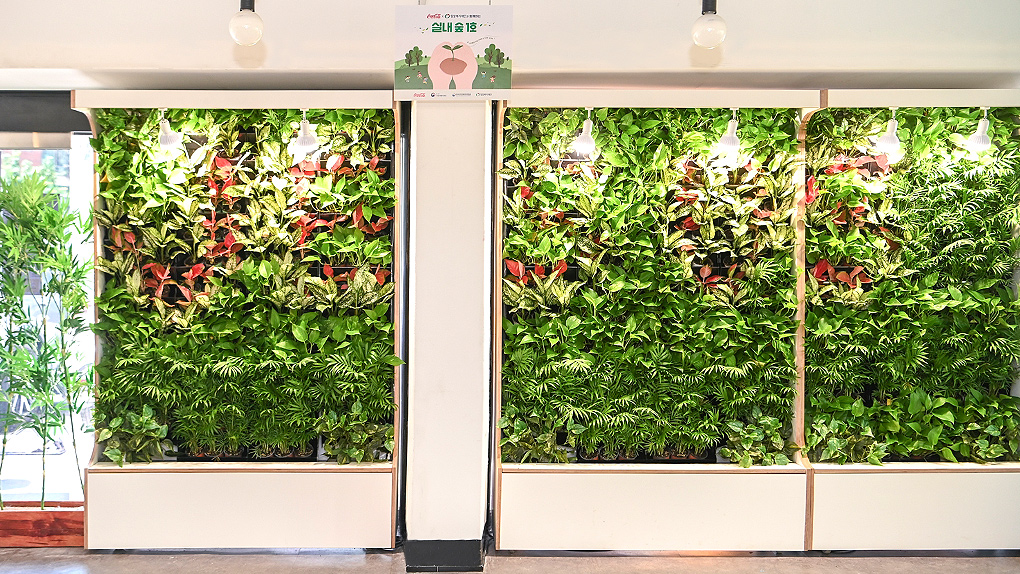 디모데 지역아동센터 ‘실내 숲’(출처_한국 코카-콜라).jpg