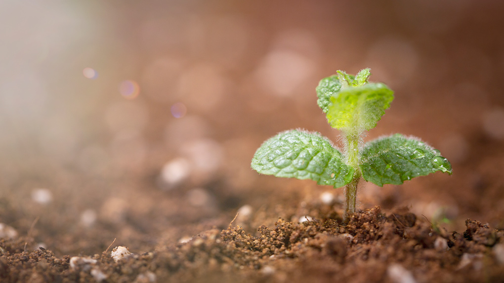 ESG경영에 발맞춰 친환경을 만들어 가는 밀알복지재단